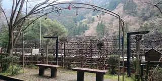 【徳島】恋愛のパワースポット　恋人峠