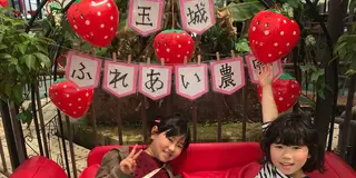 GWのこども喜ぶプラン