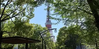 晴れたら芝公園でピクニック
