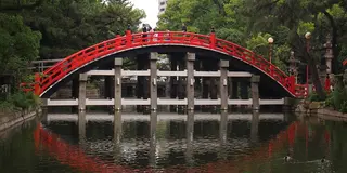 プランC　大阪