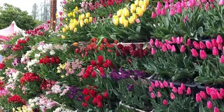 富山横断の旅🌷