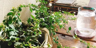 札幌のCafe巡り始めました②✨✨