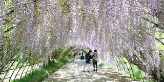 【福岡】女子大生の福岡旅行 二泊三日