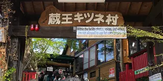 春の宮城 キツネと松島ぶらり旅