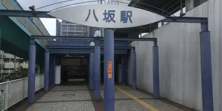 おさんぽ🚶‍♀️野火止用水