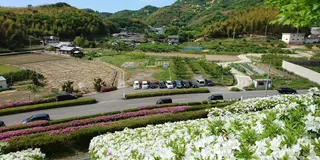 秋の和歌山自然巡り🍁