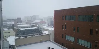 弘前りんごスイーツ巡り