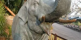 2023年秋　初　上野動物園
