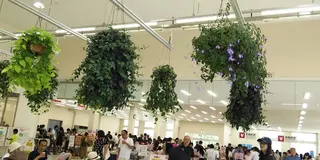 家族旅行 淡路島