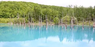 1泊2日🌲旭川旅