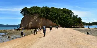 香川愛媛へカメラ旅