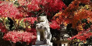 紅葉🍁香取神宮@茨城スポット🚘