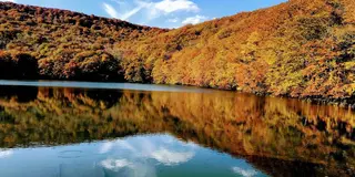 東北　水のある風景を巡る旅