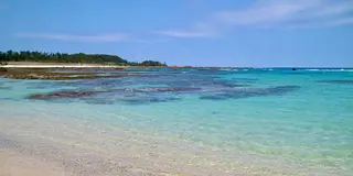 【奄美大島】女子大生の奄美大島旅行 二泊三日