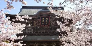 魅惑の鎌倉 寺巡りコース(不定期更新)
