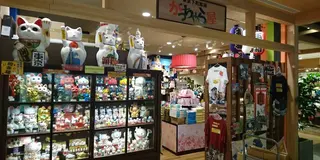 【真夜中のプリンス ロケ地へ行ってみよう】浅草・両国・錦糸町周辺エリア