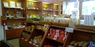 尾道・瀬戸田の旅