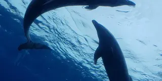 初めての👫💓👫
