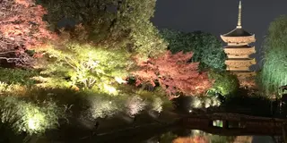 京都✨