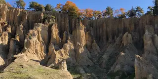 みち草しぃ②☘️子連れ遍路 阿波第4〜7番札所