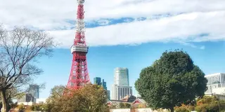 港区ママ必見！都内で子供と外で遊ぶなら芝公園がおすすめ♪