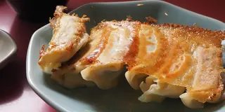 宇都宮＊日帰り餃子旅