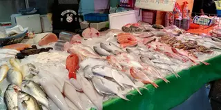 台湾④双連朝市と迪化街