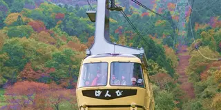 【埼玉県】夏に楽しみたいアクティビティを長瀞町で！ラインくだりで自然を体感し地元グルメを満喫しよう！