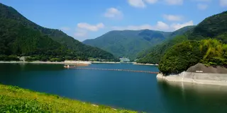 【関東】自然のフォトウェディングロケーション👰🏼‍♀️🌿