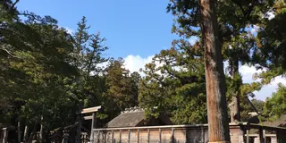 伊勢で食べたいものに会いに行く