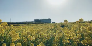 淡路島ドライブ