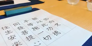 【1泊2日】桜も楽しむ鎌倉女子旅
