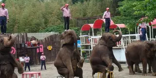 南房総・カップルで行く癒しの二人旅