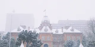 ❄【 札幌･小樽】一泊ニ日 初めての北海道❄