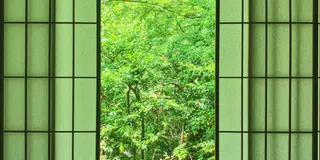🌿 叡電で巡る 新緑の京都ひとり旅 🌿