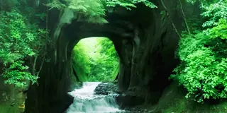 🚗 千葉  初めての内房  日帰りドライブツアー 🚗