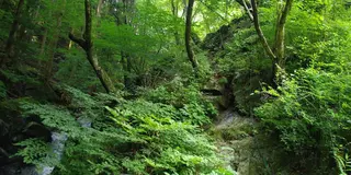 ～自然と歴史が融合した桐生を満喫～根本山までドライブの旅