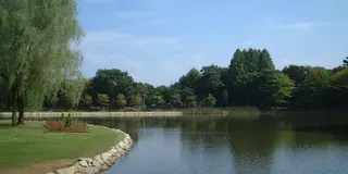 【つくば牛久】公園でピクニック！近くのお洒落カフェでテイクアウトプラン