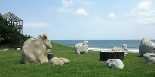 夫婦日帰り旅行　茨城大洗編