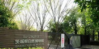 ドライブ(茨城)