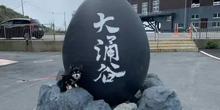 わんこと箱根