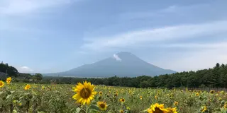 初めてのお気楽ソロテント泊の旅🏕『山梨〜長野、富士山〜八ヶ岳を望むゆるキャン旅』