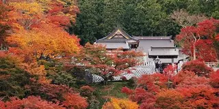 【2022年9月18日放送分】フジテレビ「なりゆき街道旅」で紹介されたお店【茨城県久慈郡大子町】