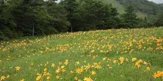 一泊二日で日光★東照宮はもちろんだけど、霧降高原でアクティブに過ごそ❤️