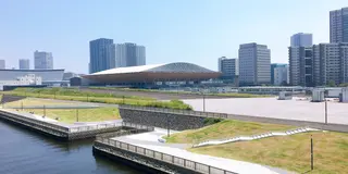 湾岸エリアで遊ぼう！豊洲からお台場までサイクリング🚲