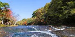 ＃おぐに疎サエティ【Nature：川遊び】