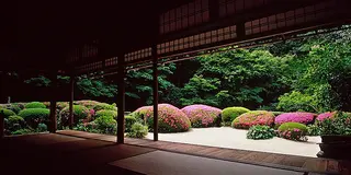 のんびり京都の静かな名所巡り