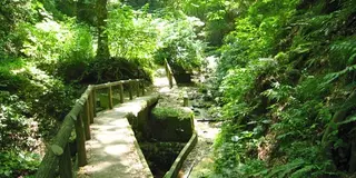 大楠山で絶景ハイキング