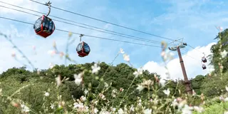 【女一人旅】神戸1日観光で自然&食&買い物を楽しむ💐2020年9月