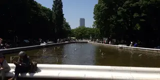 代々木公園でアウトドアな休日